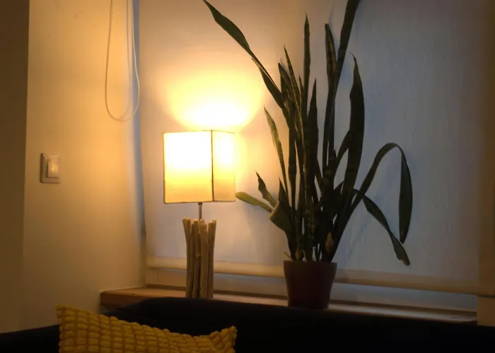 Tulbi Apartment, Self Check-in